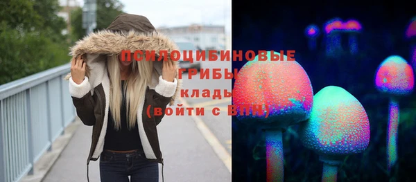 прущая мука Алзамай