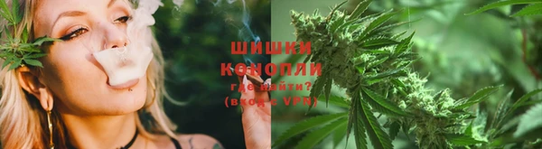 PSILOCYBIN Алексин