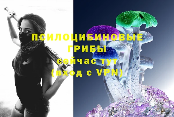 PSILOCYBIN Алексин