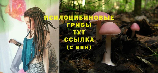 прущая мука Алзамай