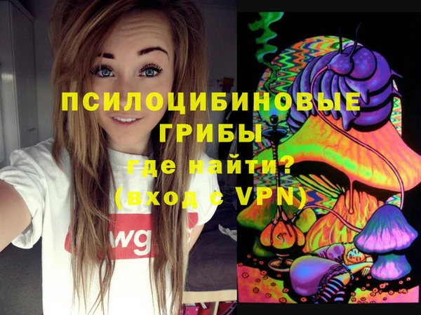 прущая мука Алзамай