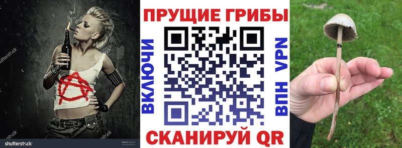 Галлюциногенные грибы Psilocybine cubensis  хочу   мега ссылка  Клин 